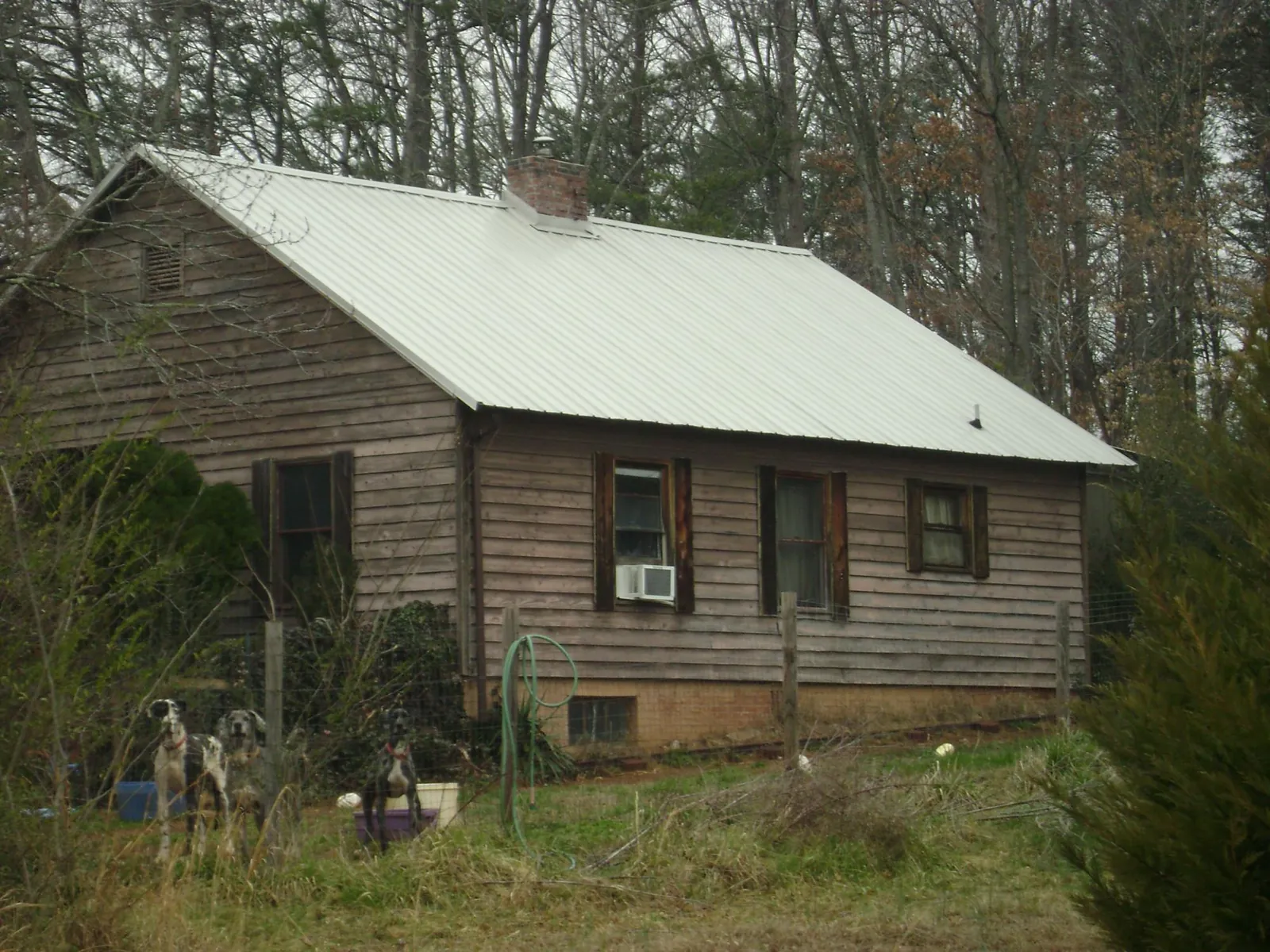 White metal roof on an old wood sided farmhouse, from a Asphalt Shingle Roof Repair job in Tremont